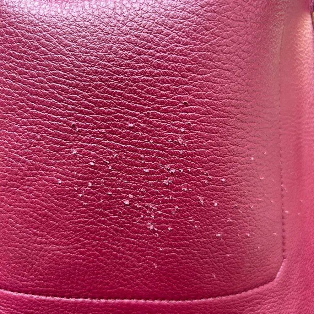 Stuart Weitzman Burgundy Hobo Bag